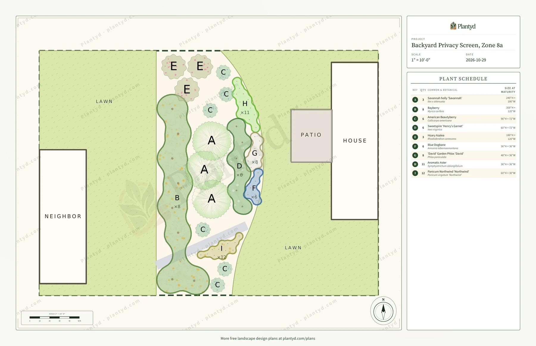 The plan sheet Plantyd exports for the privacy screen: the neighbor's house at the left, the house and patio at the right, and the back border between them, drawn to scale. A long outlined drift of wax myrtles runs down the property line, three large holly symbols stand in front of it, and smaller lettered groups fill the front. A plant schedule runs down the right side, and a faint Plantyd watermark pattern crosses the sheet.
