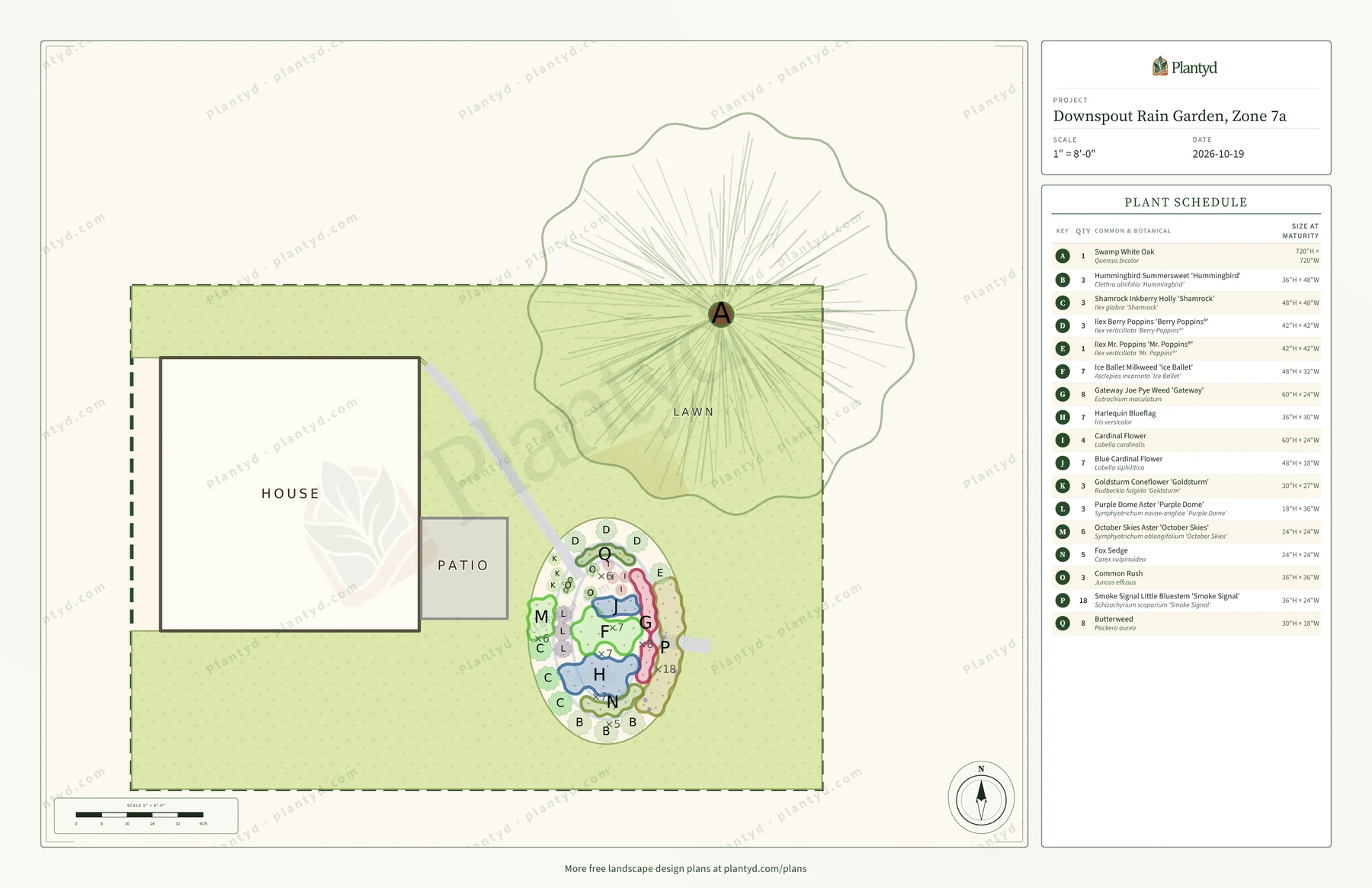 The plan sheet Plantyd exports for the downspout rain garden: the house, patio, stone swale and overflow, the oak's canopy and the oval garden drawn to scale on a lawn, each plant group outlined and labeled with its letter and quantity, faint blue rings inside the garden, and the plant schedule down the right side. A faint Plantyd watermark pattern runs across the sheet.