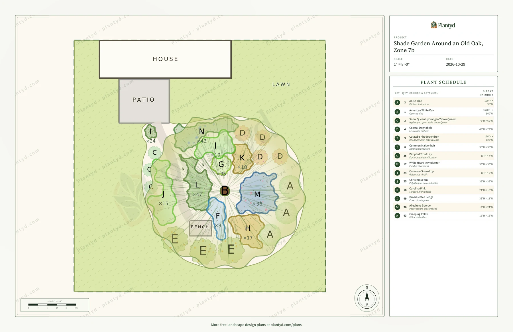 The plan sheet Plantyd exports for the shade garden: the house, patio, lawn and the round bed around the oak drawn to scale, with the bench pad and the path from the patio. Each plant group is outlined and labeled with its letter and quantity, the shrubs are single lettered symbols, and the plant schedule runs down the right side. A faint Plantyd watermark pattern runs across the sheet.