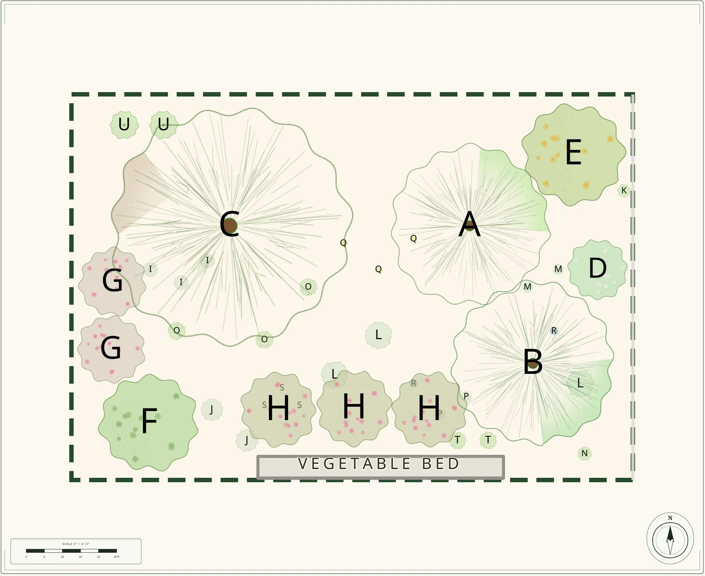A Plantyd plan drawing of a rectangular garden about 64 by 44 feet. One large apple canopy fills the upper left, a pawpaw and a fig sit to the right of it, a Siberian pea shrub is in the top right corner, filbert and raspberries are down the left side, three highbush blueberries make a drift across the lower middle, and a grey rectangle marked as a vegetable bed runs along the bottom edge.