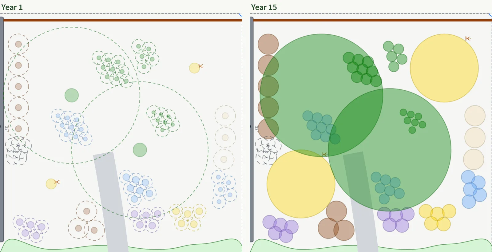 Two plan views of the zone 7b bed side by side, labeled Year 1 and Year 15. In Year 1 the plants are small solid circles inside large dashed rings showing their mature size, and the two pawpaw rings overlap. In Year 15 two large green pawpaw canopies overlap in the middle, two big yellow spicebush circles sit at the northeast and southwest corners, a column of fern circles runs down the wall, and drifts of groundcovers and flowers sit under and around the canopies.