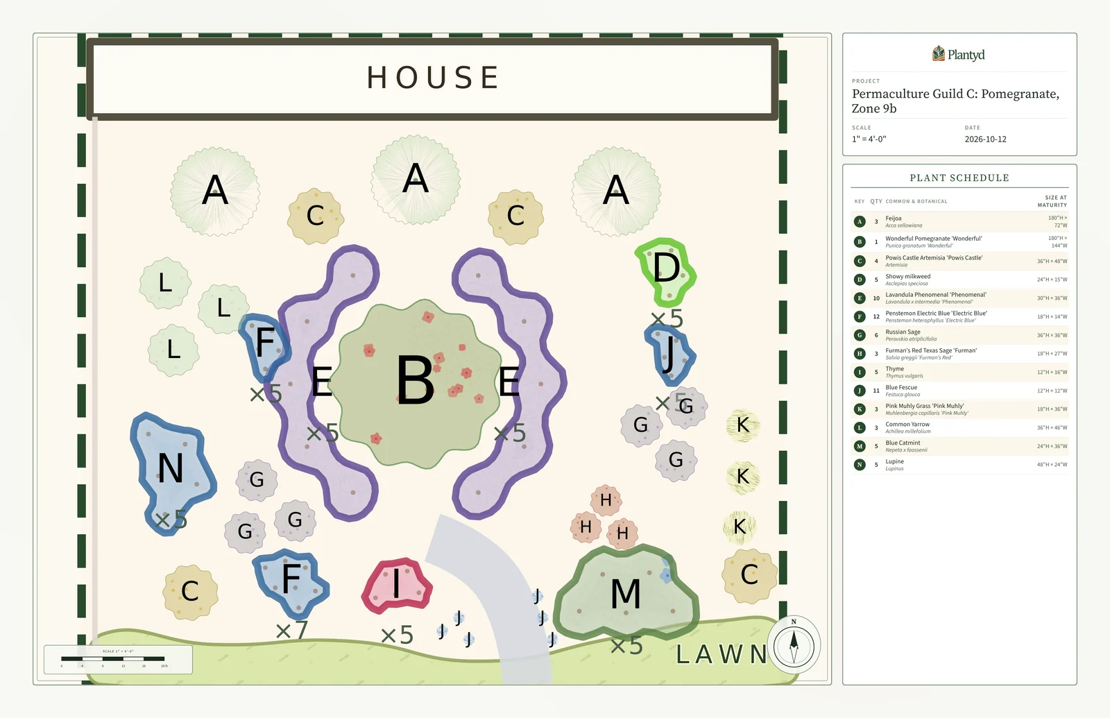 Plantyd's exported plan sheet for the zone 9b bed. A scaled drawing fills the left side: the house across the top with three pineapple guavas marked A and two artemisias marked C in front of it, the pomegranate marked B in the middle framed by two purple crescents of lavender marked E, and drifts of penstemon F, Russian sage G, autumn sage H, thyme I, blue fescue J, pink muhly K, yarrow L, catmint M and lupine N toward a curved lawn edge, with a gravel path curving in from the lawn. A scale bar and north arrow sit in the corners. A panel on the right gives the project name, scale and date, and a plant schedule listing each key letter with its quantity, common and botanical name, and size at maturity.