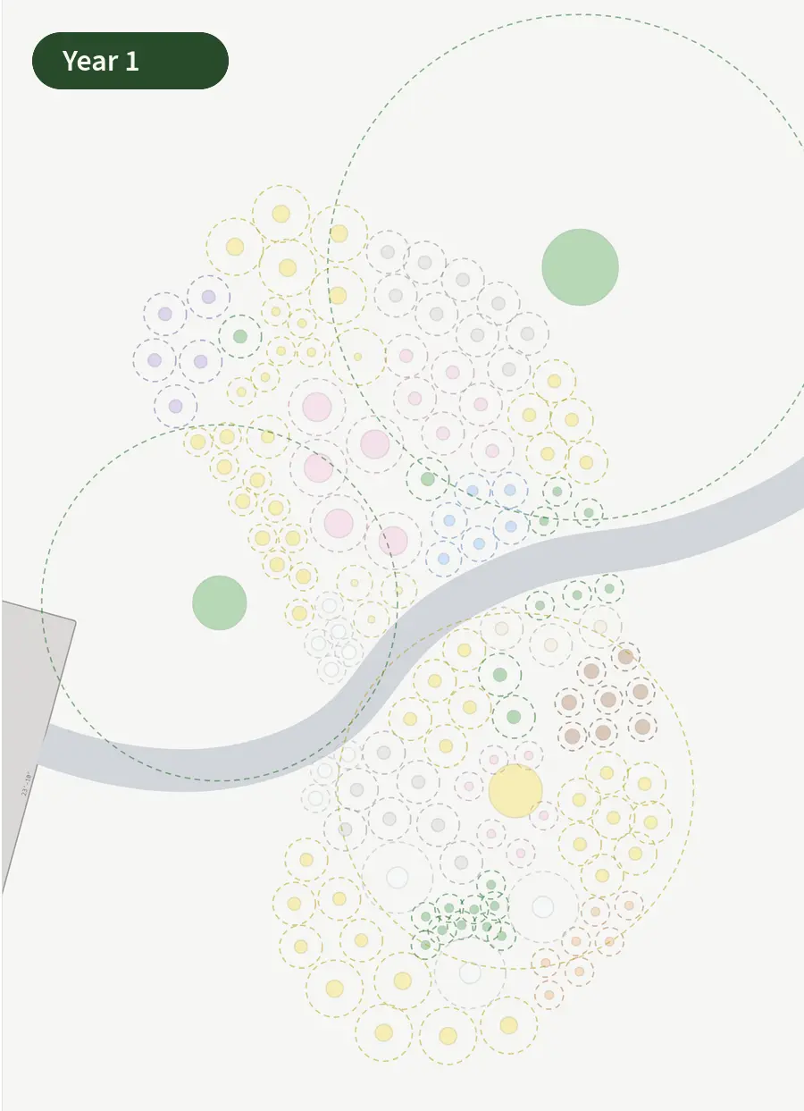 Animation of a native garden plan growing through years 1, 3, 5, 10, and 15, with plant circles expanding from small dots to full overlapping drifts beneath two large tree canopies