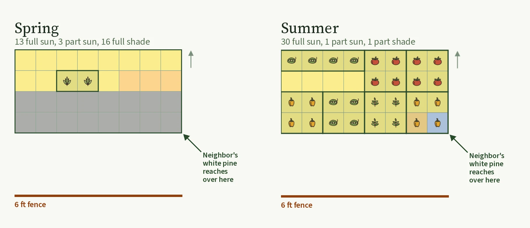 The same 4 by 8 foot raised bed shown twice from above as a grid of one-foot squares colored by hours of sun, with a six-foot fence drawn three feet to the south and a pointer to the corner the neighbor's white pine reaches over. On the left, spring: the north half is yellow for full sun except three orange part-sun squares at its east end, the south half is gray for full shade, and only two squares of spinach are planted. On the right, summer: the bed is planted with pole beans and tomatoes along the north edge and peppers, bush beans and basil in the south half, and every square is yellow except an orange and a blue square in the southeast corner
